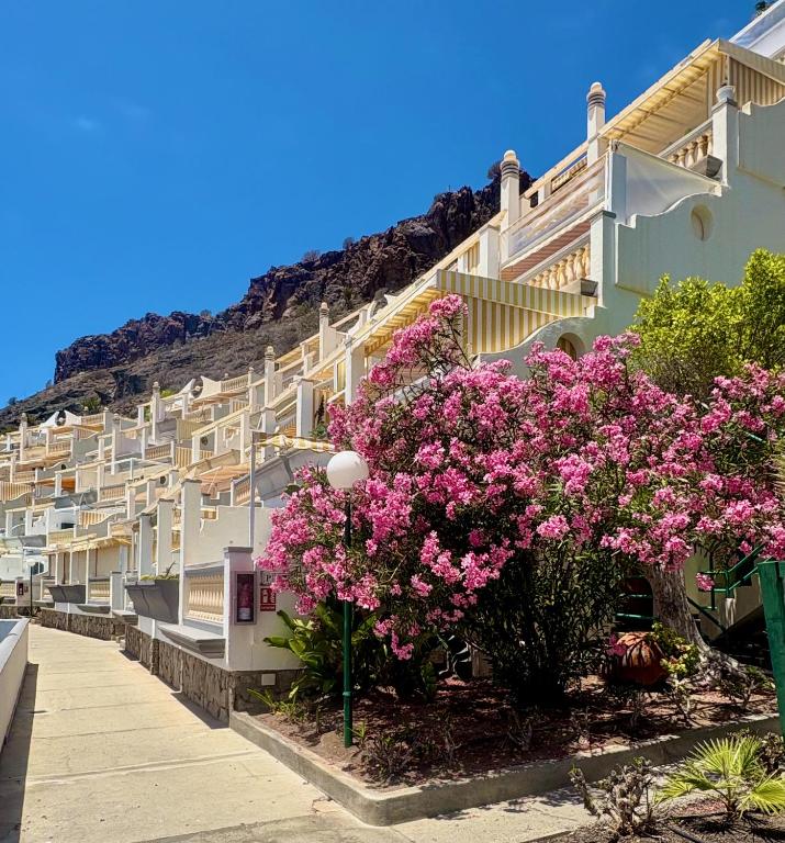 Monseñor Ocean Panorama – Gran Canaria – novenyek