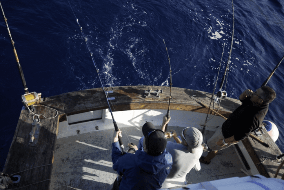 Peca_MaritimaAcantilados-980×656